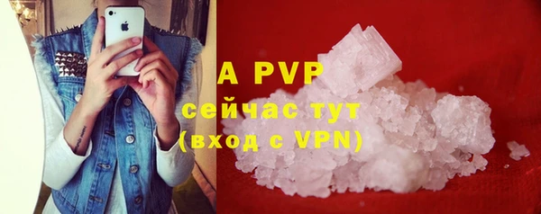 стафф Приозерск