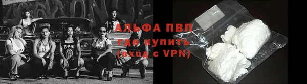 стафф Приозерск