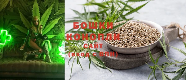 стафф Приозерск