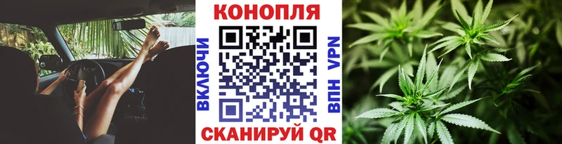 где купить наркотик  Суздаль  Бошки Шишки Bruce Banner 